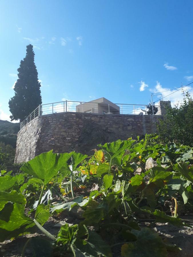 Villa Irini - Cretan Luxury Villa With Amazing View Paraspori  Екстериор снимка