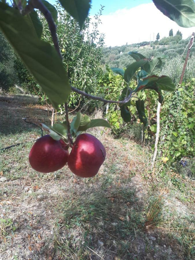 Villa Irini - Cretan Luxury Villa With Amazing View Paraspori  Екстериор снимка